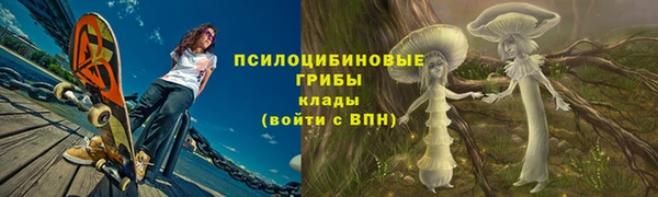 МДПВ Липки