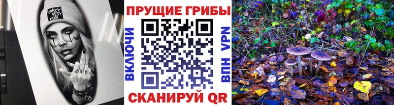 Псилоцибиновые грибы MAGIC MUSHROOMS Дыгулыбгей